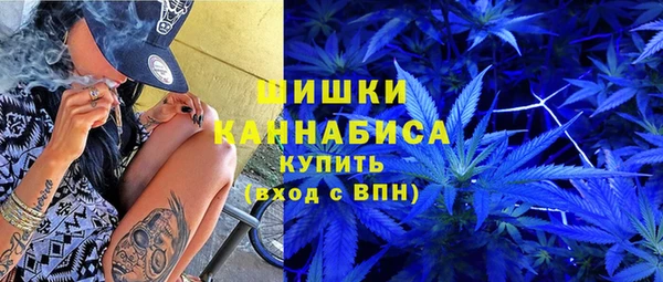 ГАЛЛЮЦИНОГЕННЫЕ ГРИБЫ Арсеньев