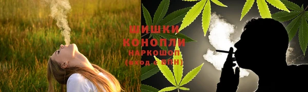 ГАЛЛЮЦИНОГЕННЫЕ ГРИБЫ Арсеньев