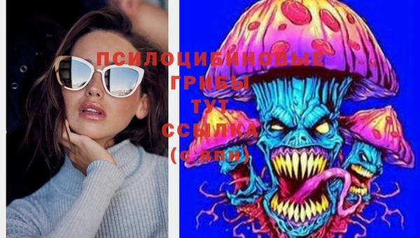 ГАЛЛЮЦИНОГЕННЫЕ ГРИБЫ Арсеньев