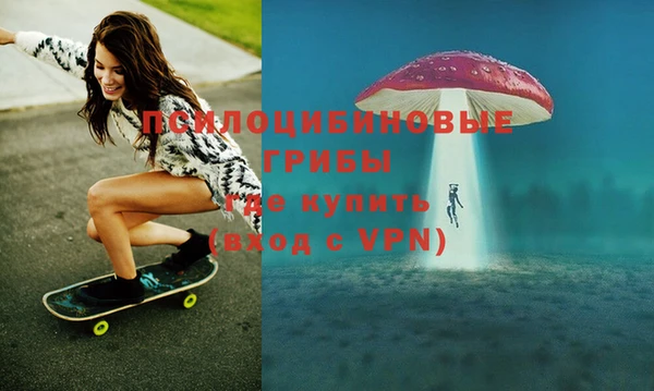 ГАЛЛЮЦИНОГЕННЫЕ ГРИБЫ Арсеньев