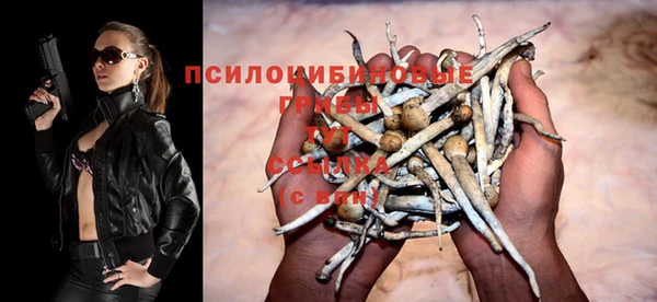 ГАЛЛЮЦИНОГЕННЫЕ ГРИБЫ Арсеньев